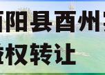 重庆酉阳县酉州实业资产收益权转让