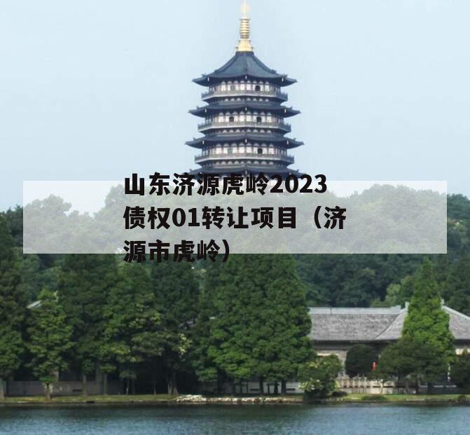 山东济源虎岭2023债权01转让项目（济源市虎岭）