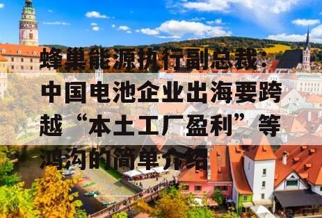 蜂巢能源执行副总裁：中国电池企业出海要跨越“本土工厂盈利”等鸿沟的简单介绍