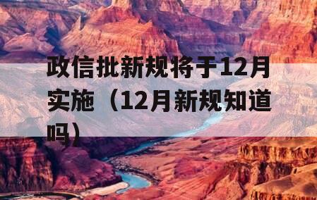 政信批新规将于12月实施（12月新规知道吗）