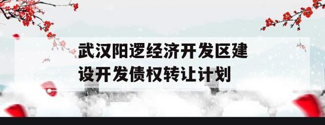 武汉阳逻经济开发区建设开发债权转让计划