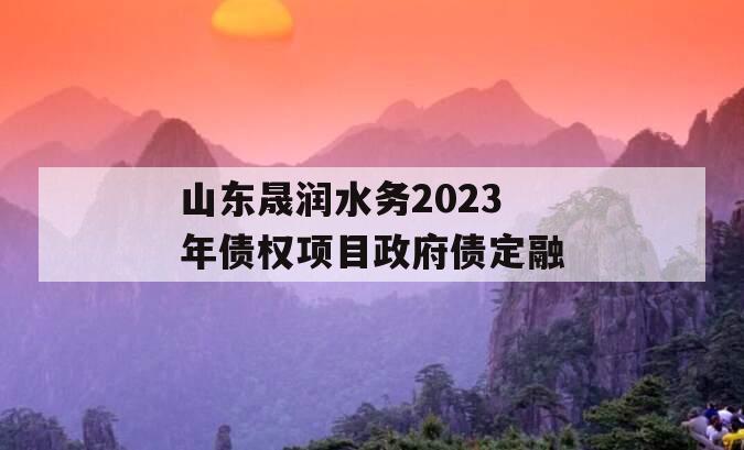 山东晟润水务2023年债权项目政府债定融