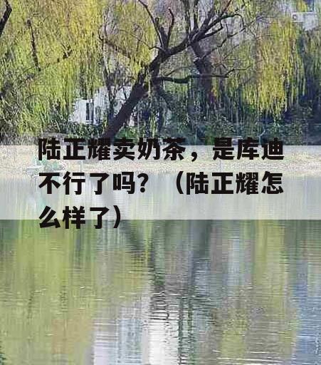 陆正耀卖奶茶，是库迪不行了吗？（陆正耀怎么样了）