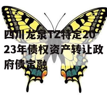 四川龙泉TZ特定2023年债权资产转让政府债定融