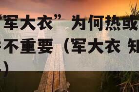 “军大衣”为何热或许并不重要（军大衣 知乎）