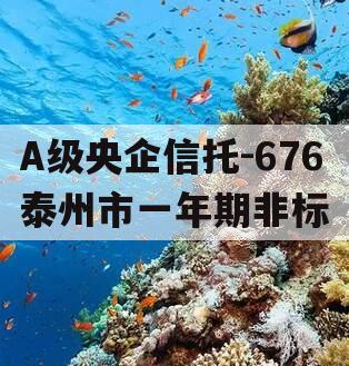 A级央企信托-676泰州市一年期非标