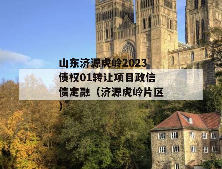 山东济源虎岭2023债权01转让项目政信债定融（济源虎岭片区）