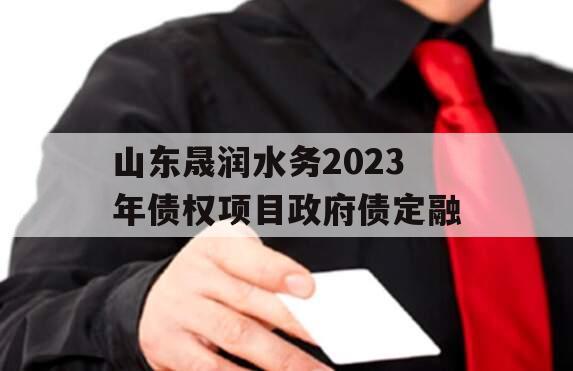 山东晟润水务2023年债权项目政府债定融