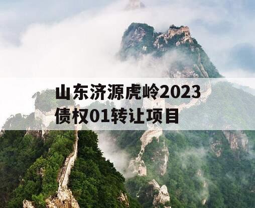 山东济源虎岭2023债权01转让项目