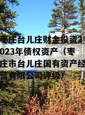 枣庄台儿庄财金投资2023年债权资产（枣庄市台儿庄国有资产经营有限公司评级）