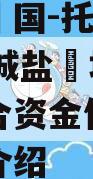 央企信‮国-托‬兴199号‮城盐‬地级市政信集合资金信托计划的简单介绍