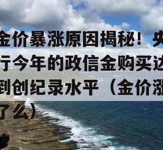 金价暴涨原因揭秘！央行今年的政信金购买达到创纪录水平（金价涨了么）