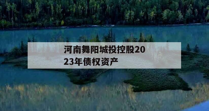 河南舞阳城投控股2023年债权资产