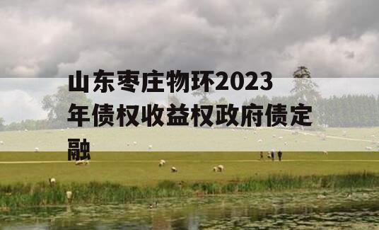 山东枣庄物环2023年债权收益权政府债定融