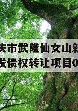 重庆市武隆仙女山新区开发债权转让项目02