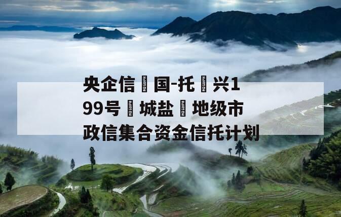 央企信‮国-托‬兴199号‮城盐‬地级市政信集合资金信托计划