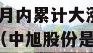 中旭未来午盘涨超11%本月内累计大涨172%（中旭股份是干嘛的）