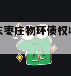 山东枣庄物环债权收益权