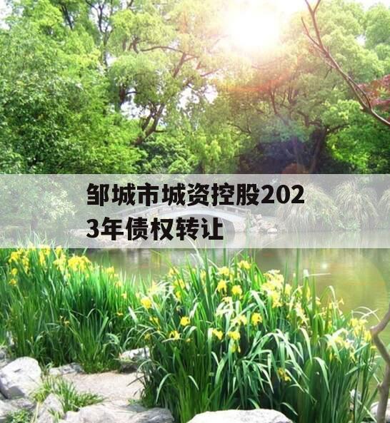 邹城市城资控股2023年债权转让