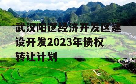 武汉阳逻经济开发区建设开发2023年债权转让计划