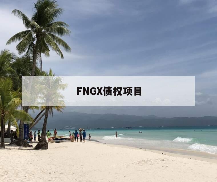 FNGX债权项目