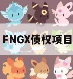 FNGX债权项目