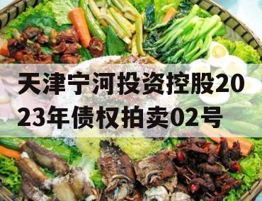 天津宁河投资控股2023年债权拍卖02号