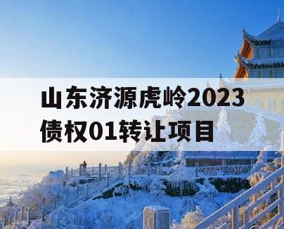 山东济源虎岭2023债权01转让项目