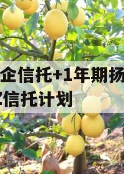 央企信托+1年期扬州YZ信托计划