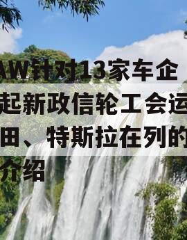 UAW针对13家车企发起新政信轮工会运动丰田、特斯拉在列的简单介绍