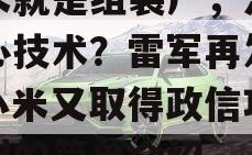 小米就是组装厂，没有核心技术？雷军再发声！小米又取得政信项新专利的简单介绍