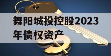 舞阳城投控股2023年债权资产