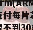 传苹果(AAPL.US)向Arm(ARM.US)支付每片芯片专利费不到30美分（苹果研发芯片投入）