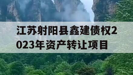 江苏射阳县鑫建债权2023年资产转让项目