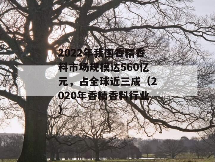 2022年我国香精香料市场规模达560亿元，占全球近三成（2020年香精香料行业）