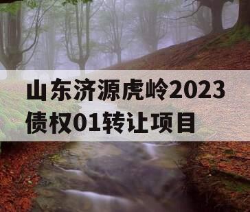 山东济源虎岭2023债权01转让项目