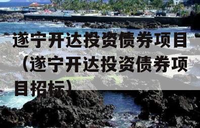 遂宁开达投资债券项目（遂宁开达投资债券项目招标）