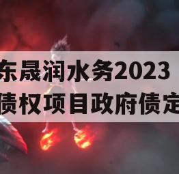 山东晟润水务2023年债权项目政府债定融