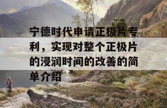 宁德时代申请正极片专利，实现对整个正极片的浸润时间的改善的简单介绍