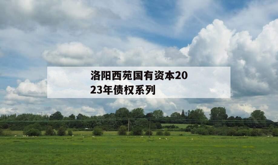 洛阳西苑国有资本2023年债权系列