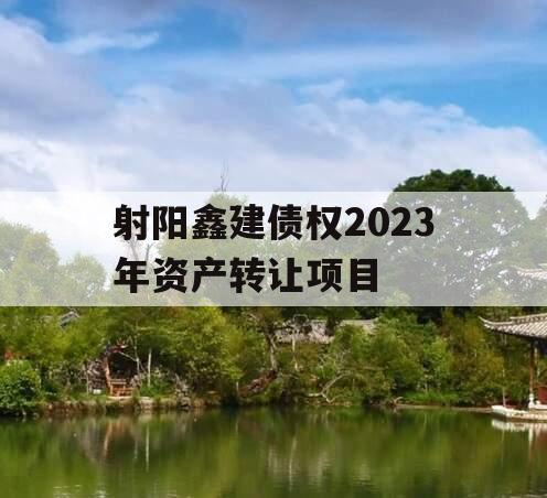 射阳鑫建债权2023年资产转让项目