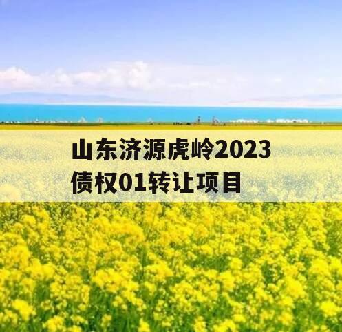 山东济源虎岭2023债权01转让项目