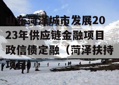 山东菏泽城市发展2023年供应链金融项目政信债定融（菏泽扶持项目）