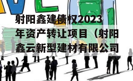 射阳鑫建债权2023年资产转让项目（射阳鑫云新型建材有限公司）