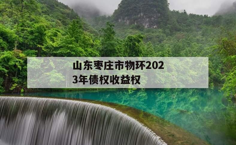 山东枣庄市物环2023年债权收益权