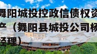 舞阳城投控政信债权资产（舞阳县城投公司杨经理）