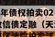 天津宁河投资控政信2023年债权拍卖02号政信债定融（天津市宁河区法院拍卖活动）