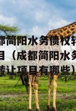 成都简阳水务债权转让项目（成都简阳水务债权转让项目有哪些）