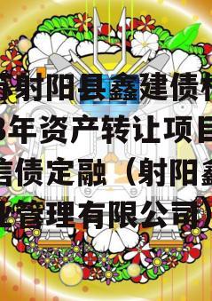 江苏射阳县鑫建债权2023年资产转让项目政信债定融（射阳鑫隆物业管理有限公司）