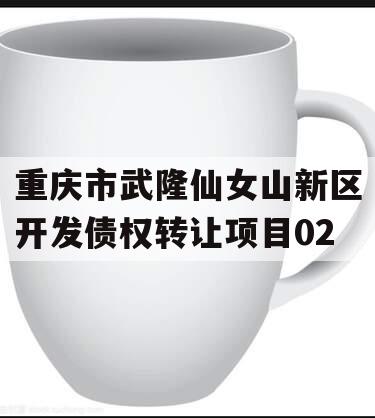 重庆市武隆仙女山新区开发债权转让项目02